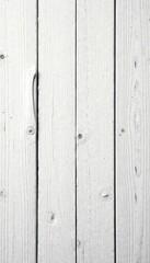 Fototapeta premium Cracked white painted wood, showing aged wood grain beneath, wood texture, distressed, shabby