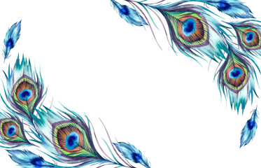 Peacock feathers on a white background, hand-painted. Rectangular holiday card frame, design for Diwali, Janmashtami festival. Watercolor illustration. A clipart for printing and arranging invitations