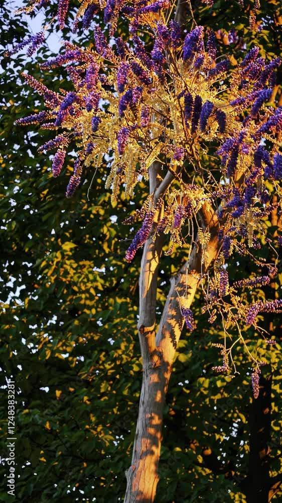 Poster a surreal tree with vibrant purple and golden textured clusters glowing in soft sunlight, swaying to