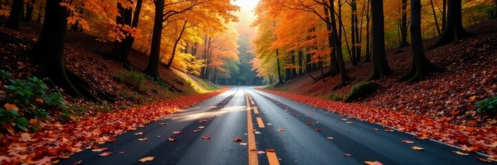 Dark asphalt, colorful autumn leaves on road, forest backdrop , light, glossy, photography