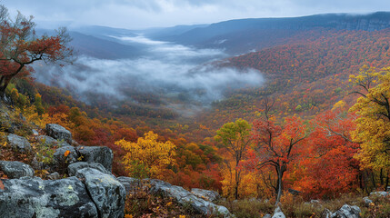 Vibrant autumn landscape unfolds with misty valleys and colorful foliage, evoking serene wonder and beauty of nature transition