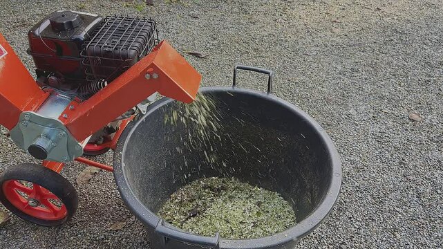 Gardening work. Chopping branches with a petrol wood chipper, garden shredder
