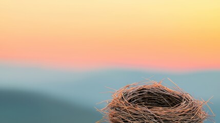 Empty bird nest overlooking pastel dawn hues