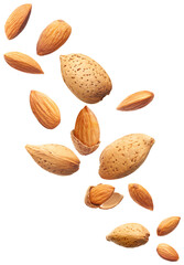 Flying almonds isolated