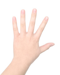 hand isolated on white background