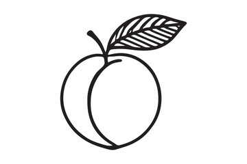 Apricot Outline Vector
