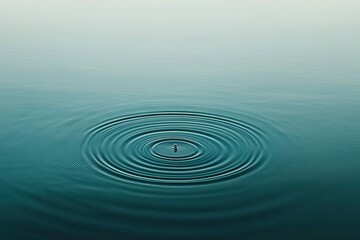 Fototapeta premium Water drop on the surface of the lake with ripples and waves