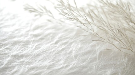 Detailed Close-Up of White Paper Texture on Background with Delicate Natural Elements for Artistic Usage