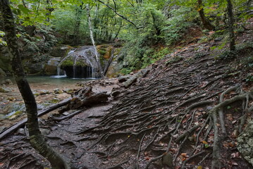 Russia, Republic of Crimea. View of the waterfall of the Ulu-Uzen River in the shade of the rocky thickets of the mountain gorge of the Haphali Hydrological Reserve surrounded by tree roots.