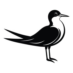 Obraz premium Elegant Tern Bird Icon Vector Coastal Wildlife Graphics for Unique Designs 