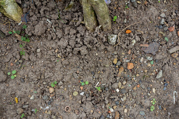 Close-Up of Rough and Gravelly Ground Texture