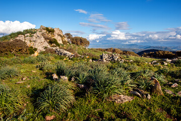 Naklejka premium Sardegna, paesaggio di campagna a primavera dalle parti di Iglesias, Italia, Europa Occidentale 