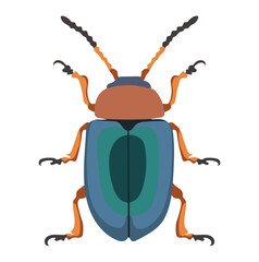 Blue Beetle Insect Animal Illustration Isolated on White Background