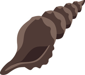 Brown spiral seashell isolated on white background, representing marine life, coastal beauty, and ocean wonders