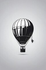 hot air balloon