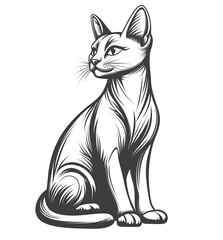 Obraz premium Sphinx cat, sitting down with its tail up, on a white background. 