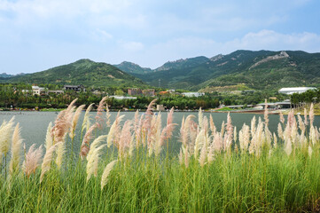 Tianshui Lake, Qingdao World Horticultural Exposition Park, Shandong Province, China. August 2014, China.