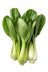 Obraz premium bunch of fresh pak coy, isolated background