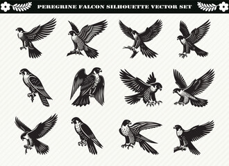Peregrine Falcon Silhouette Vector Set: 12 Stunning Bird of Prey Designs