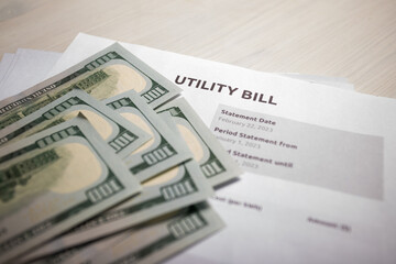 Utility Bill Payment with Cash, electricity and gas cost calculation, financial statement review