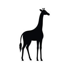 Silhouette of a graceful giraffe standing tall against a clean white background