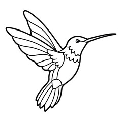 hummingbird in flight