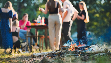 School friends are enjoying a summer campfire party, chatting and having fun in the woods