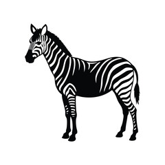 Obraz premium Stylized black and white zebra standing profile view isolated on white background