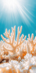 Sunlit Underwater Coral Reef with Vivid Sunrays in Pristine Ocean