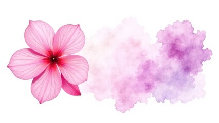 Naklejka premium pastel pink and violet colors flowers, white background,