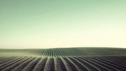 Serene landscape of rolling green fields under a soft pastel sky at dawn, evoking tranquility