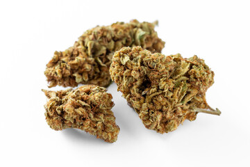 Dried cannabis on white background