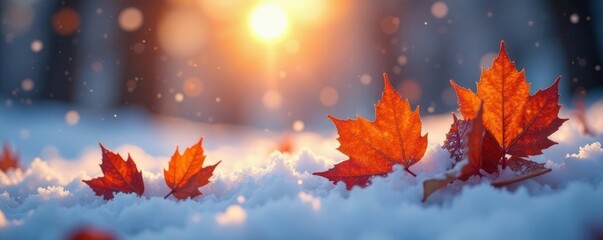 Orange leaves under the first snowfall at dawn, sun, light