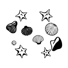 Black-and-white illustration of seashells and starfish scattered on a white background.
