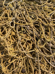 Stack of plastic soccer goal net ropes. rope netting as background
