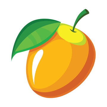 recommend clip art: Mango fruit vector illustration