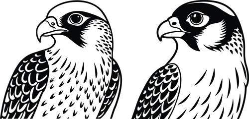 A beautiful falcon line art collection. This vector artwork is perfect for children's coloring books, digital designs, t-shirts and branding etc. Ideal  for wildlife lovers and artistic projects.