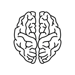 Brain Cartoon Icon Illustration