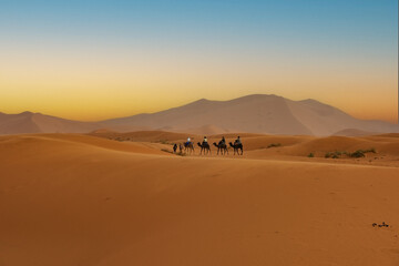 Tourist camel caravan in Sahara desert Merzouga, Morocco