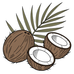 Coconut Collection – Whole, Halves, and Slices Isolated on White