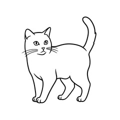 Obraz premium Black and White Cat Standing with Tail Up