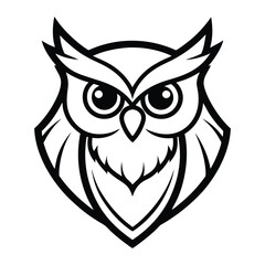 owl on white background