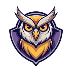 owl on white background