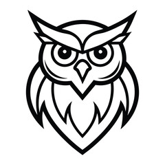 owl on white background