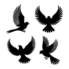 Vector illustration. Silhouette of a bird on a white background. Printable template.