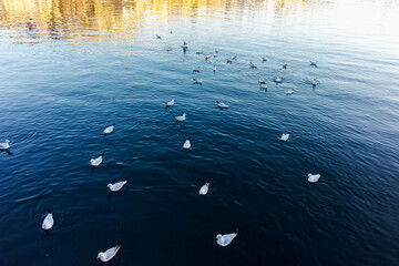 Sunset Panorama of city of Kavala, Greece