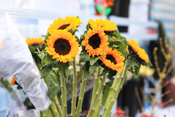 Jan 26 2025 Floral Bouquets in Vibrant Colors Displayed at a Flower Market
