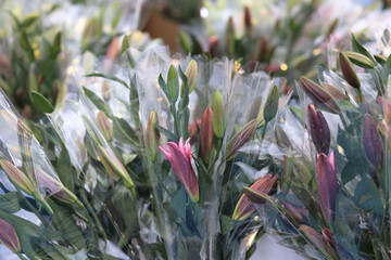 Jan 26 2025 Floral Bouquets in Vibrant Colors Displayed at a Flower Market