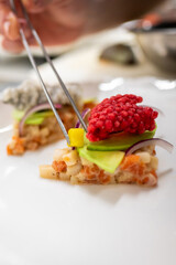 A chef meticulously plating a gourmet dish. Colorful layers of seafood, avocado, and toppings are arranged artfully on a white plate, showcasing culinary creativity and attention to detail.