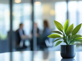 plant in a conference room with business people blurred in the background.